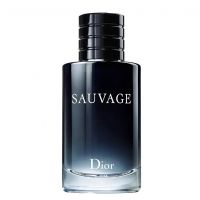 Sauvage 2015