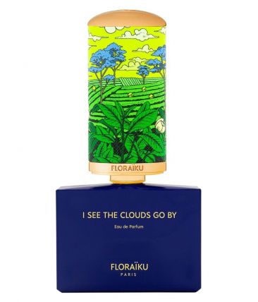 I See the Clouds Go By