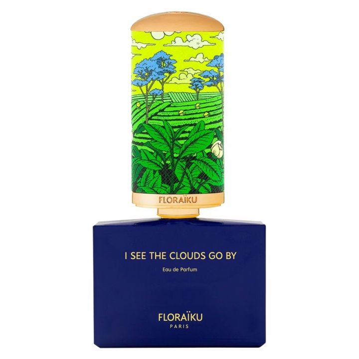 I See the Clouds Go By