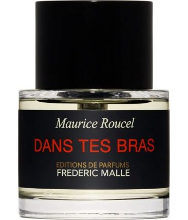 Dans Tes Bras