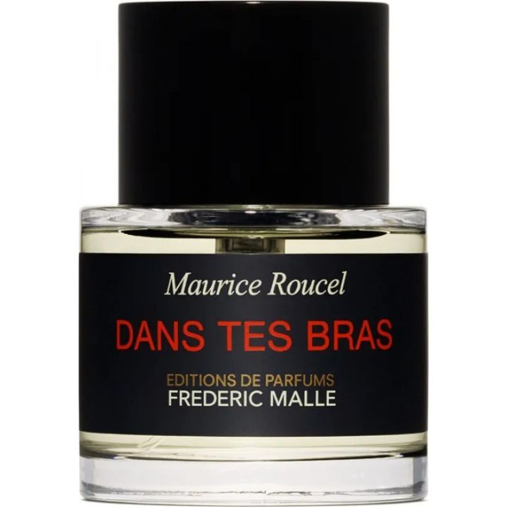Dans Tes Bras