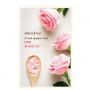 It's Real Squeeze Mask Rose