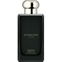 Tuberose Angelica 