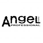 Angel Professional