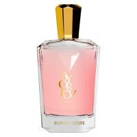 Burning Desire 